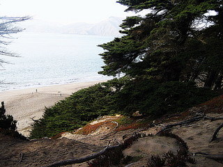 Nude Beaches San Francisco