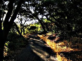 Hiking Jack London SHP