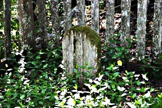 Jack London's Gravesite