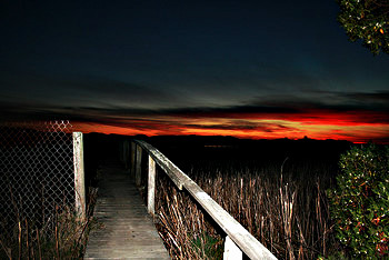 Petaluma River at Sunset; CC Maria Showfer