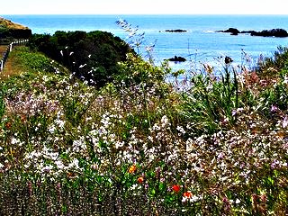 View from Behind the Little River Deli; CC Angela Sevin