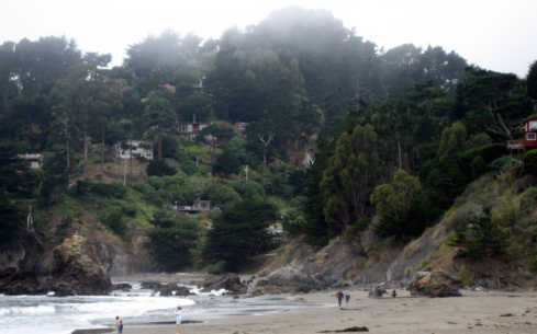 Muir Beach Community