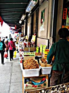 A Neighborhood Street; by Suzi Rosenberg