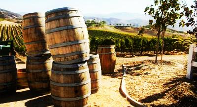 Winery Barrels