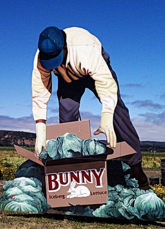 Giant Sculpture of a Farmworker; Photo by Suzi Rosenberg