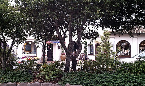 Along Ocean Avenue in Carmel; by Suzi Rosenberg